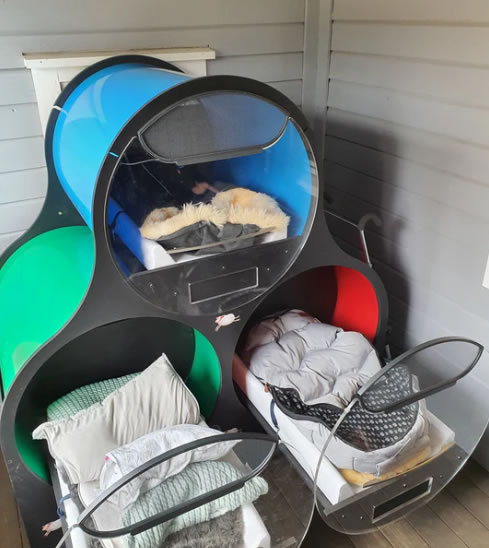 Syvsoveren fra Norplay